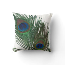 Lovely White Peacock Feather