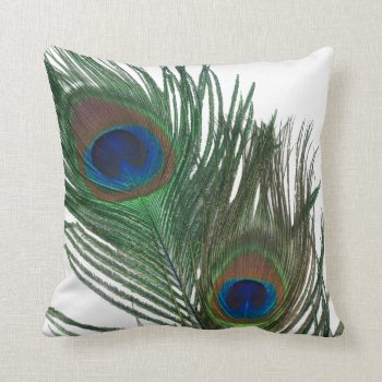 Lovely White Peacock Feather Throw Pillow by Peacocks at Zazzle