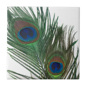 Lovely White Peacock Feather Tile