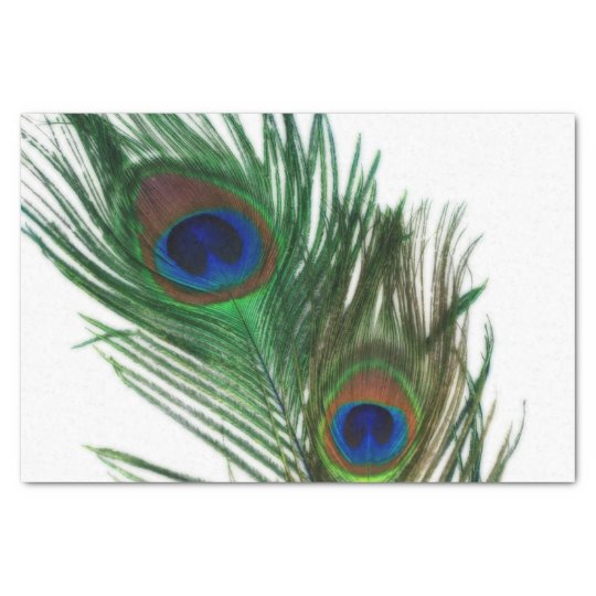 Lovely White Peacock Feather Tissue Paper | Zazzle.com
