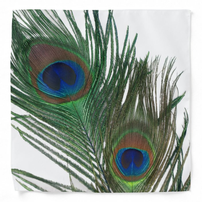 Lovely White Peacock Feathers Bandana Zazzle Com