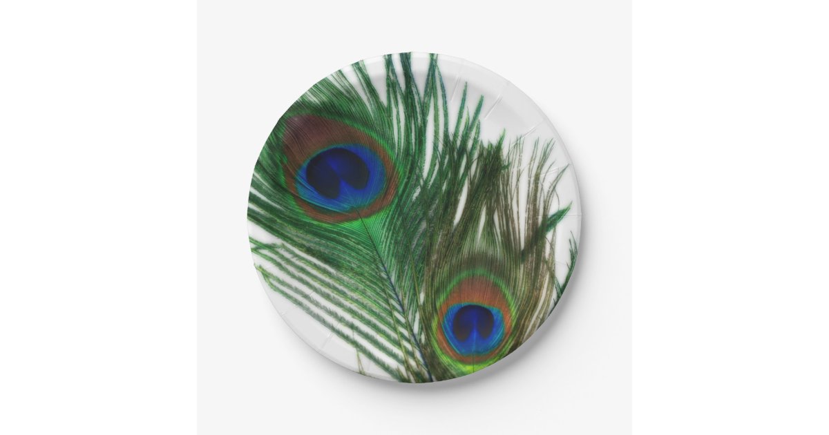 Lovely White Peacock Feathers Paper Plate Zazzle Com