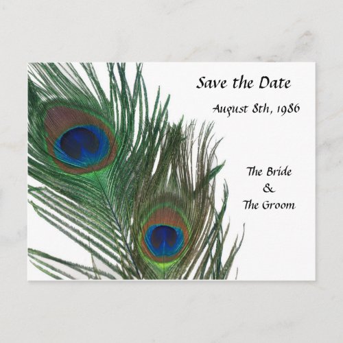 Lovely White Peacock Save the Date Announcement Postcard