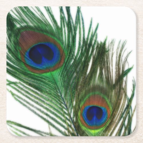 Lovely White Peacock Square Paper Coaster
