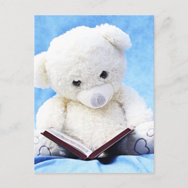 Lovely White Teddy Bear Read Book Postcard (Front)