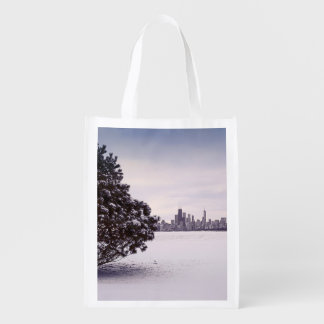 lovely winter Chicago - reusable bag