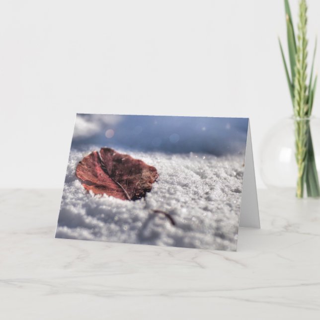 Lovely Winter Wishes Card (Front)