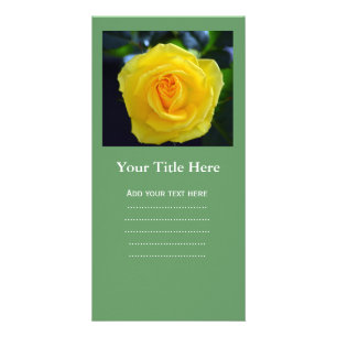 Lovely yellow rose flower photography. card