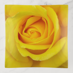 Lovely Yellow Rose Trinket Tray