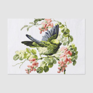 Lovely Young Parrot in Flowering Tree Tissue Paper