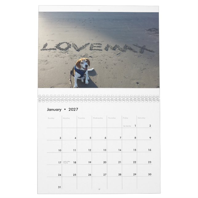 LOVEMAX 2015 Calendar (Jan 2027)
