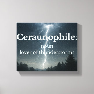 Lover of Thunder Storms Canvas Print