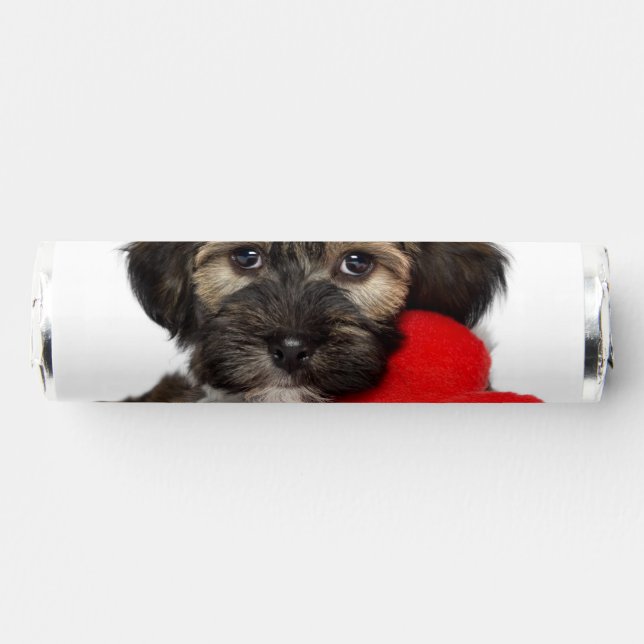 Lover Valentine Havanese Puppy Dog Breath Savers® Mints (Front)