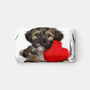 Lover Valentine Havanese Puppy Dog Hershey's Miniatures