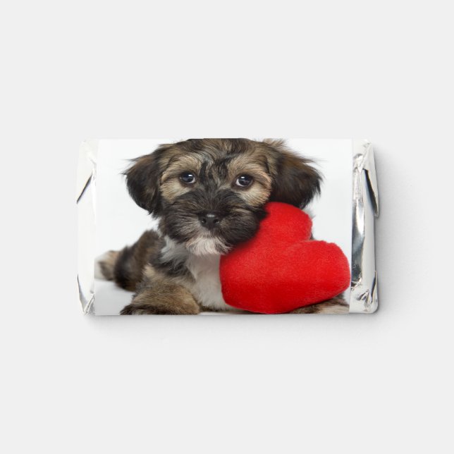Lover Valentine Havanese Puppy Dog Hershey's Miniatures (Front)