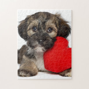 Lover Valentine Havanese Puppy Dog Jigsaw Puzzle