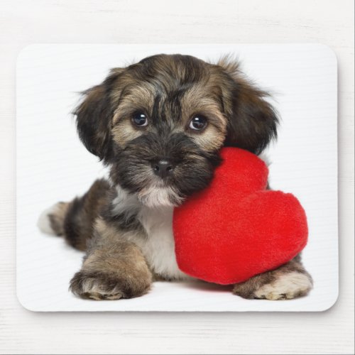 Lover Valentine Havanese Puppy Dog Mouse Pad