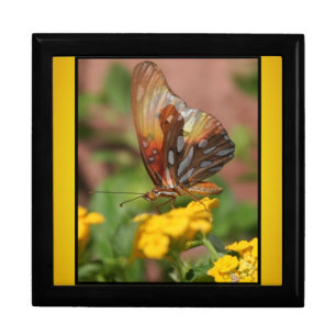 Lovers Wings. Monarch Butterfly Jewelry Box