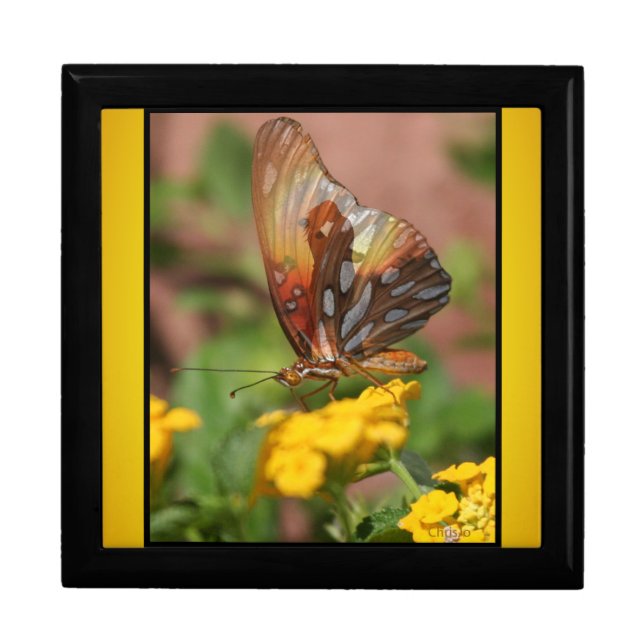Lovers Wings. Monarch Butterfly Jewelry Box (Front)