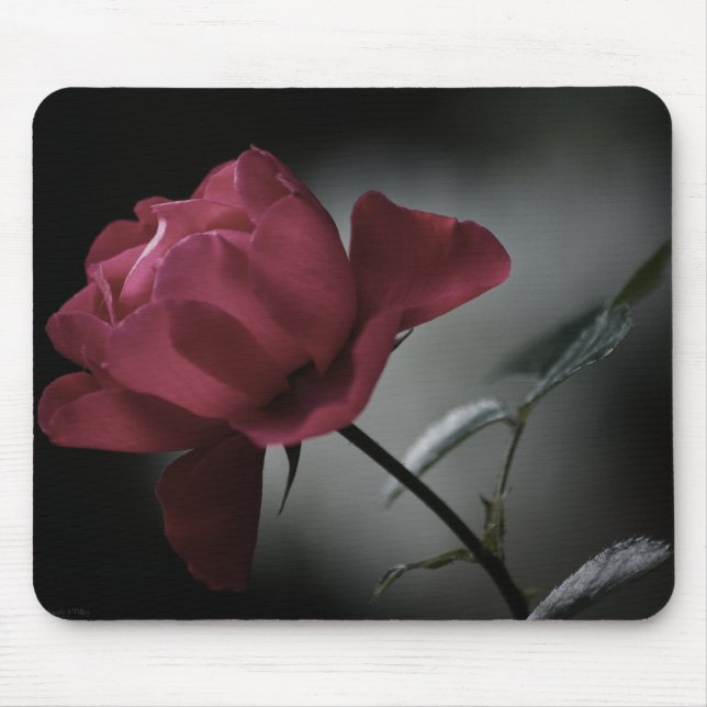 Love's Beauty Mousepad (Front)