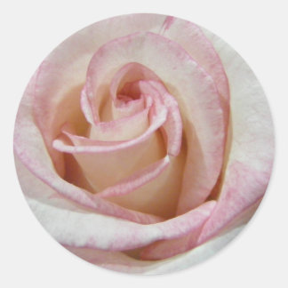 Love's First Blush Rose Classic Round Sticker