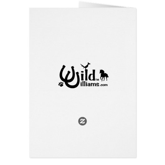 Love's in the Air (Back)