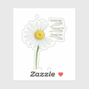 Loves Me, Loves Me Not Daisy – Romantic Watercolor Sticker