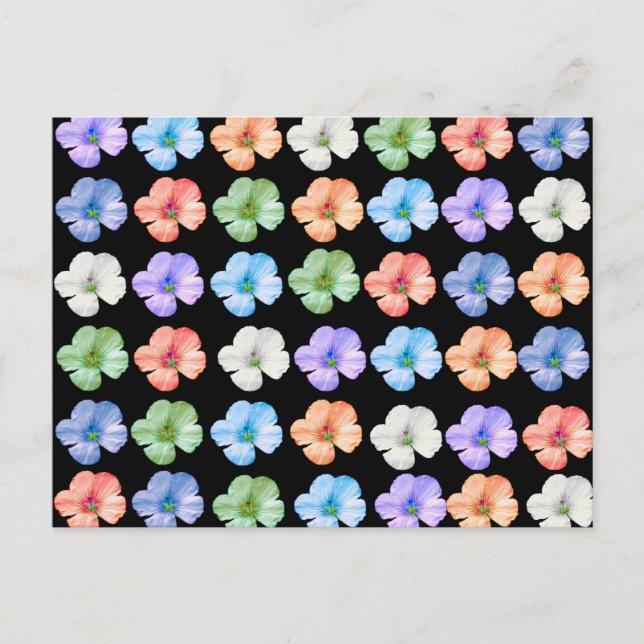 LOVES OF FLOWERS  POSTCARD (Front)