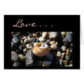 Loves Rare Treasure (Front Horizontal)