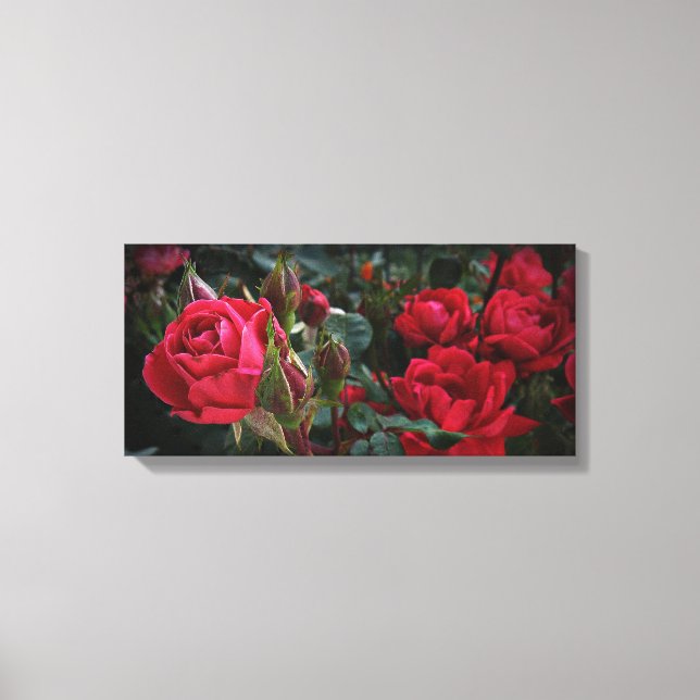 Love's Sea Of Blooms (Red Roses & Buds) Canvas Print (Front)