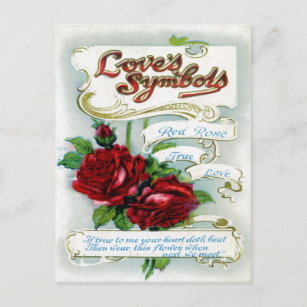 Love's Symbols Postcard