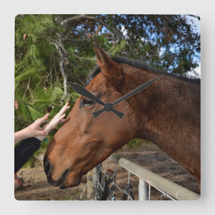 Loving A Big Brown Horse, Square Wall Clock