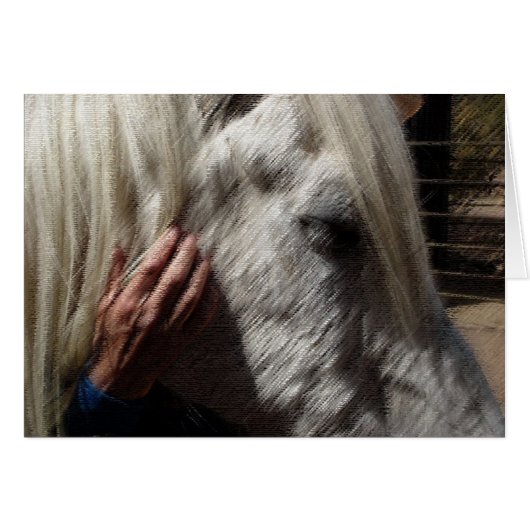 Loving a Horse Cards (Front Horizontal)