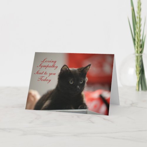 Loving Black Kitten Sympathy Card