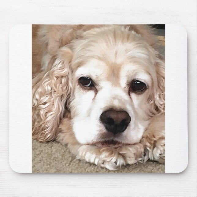 ***LOVING COCKER SPANIEL*** MOUSE PAD (Front)