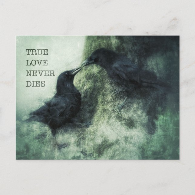 Loving Crows True Love Never This Love Raben Postcard (Front)