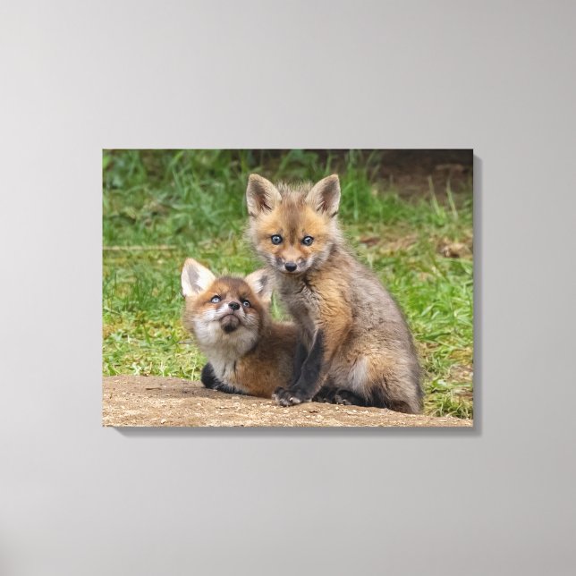 Loving Eyes Canvas Print (Front)