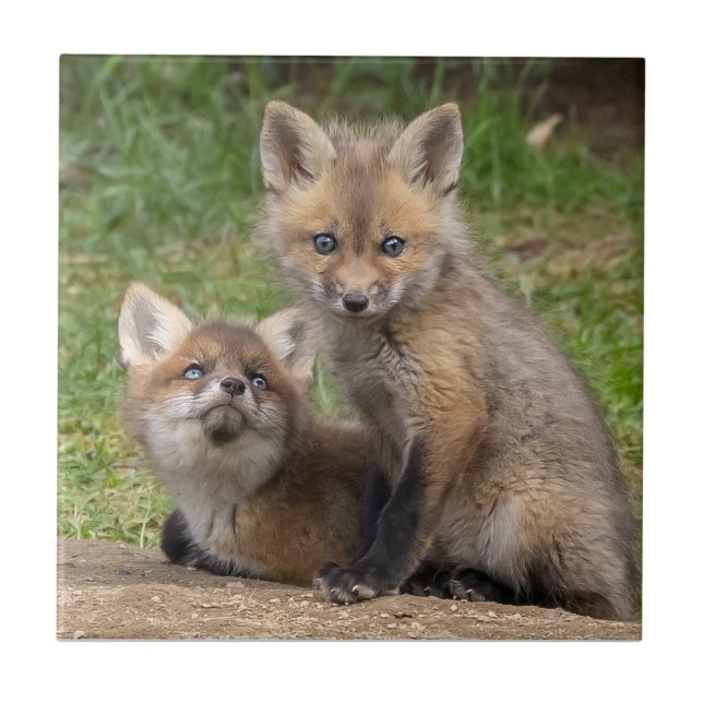 Loving Eyes Ceramic Tile (Front)