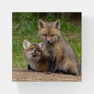 Loving Eyes Paperweight