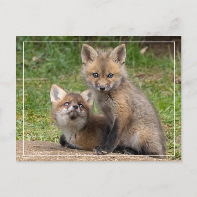 Loving Eyes Postcard (Front)