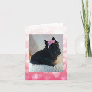 Loving Glance Card