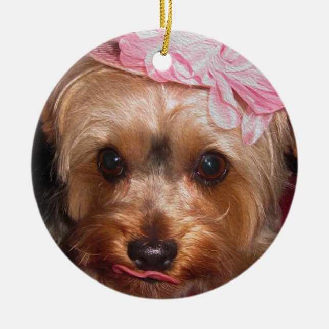 Loving Hats Yorkie II Ceramic Ornament (Front)