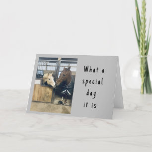 "LOVING HORSES" HAPPY BIRTHDAY  CARD