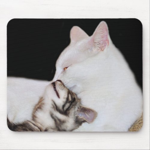 Loving kitty cats mouse pad