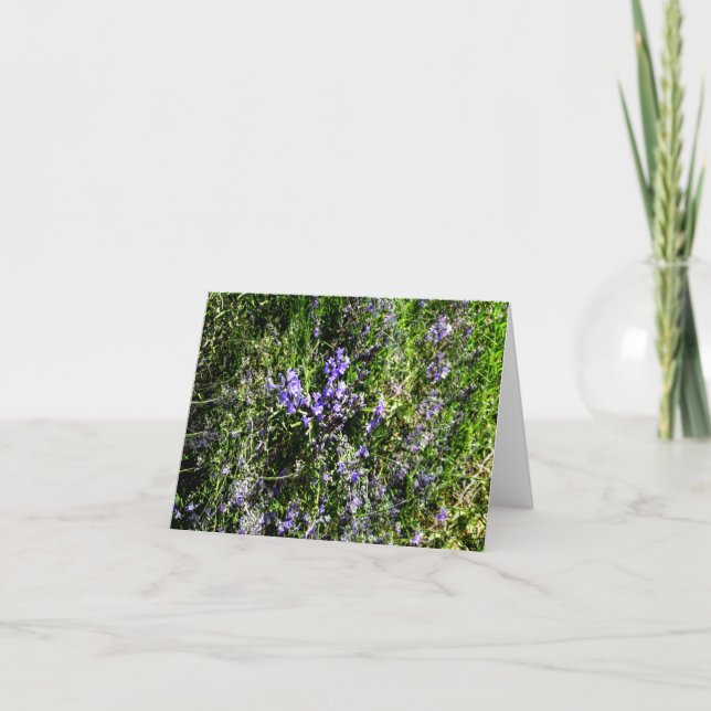 Loving Lavender..... Card (Front)
