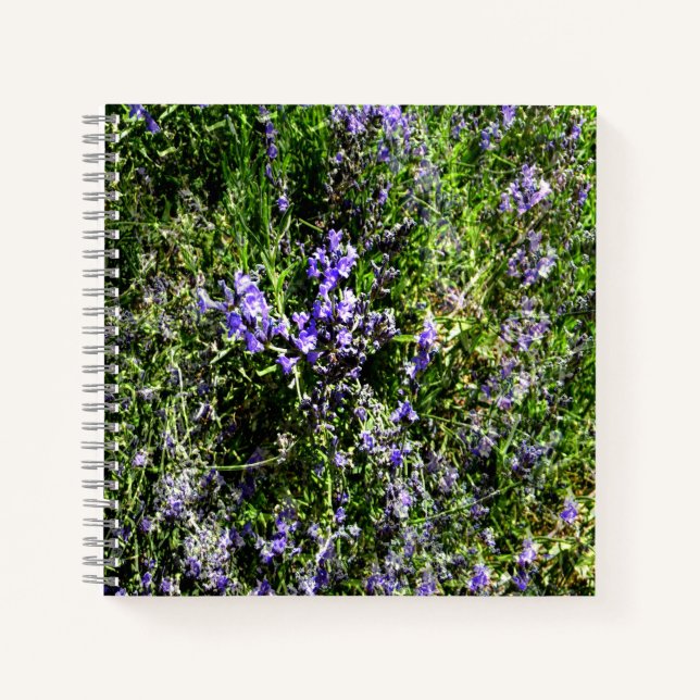 Loving Lavender..... Notebook (Front)