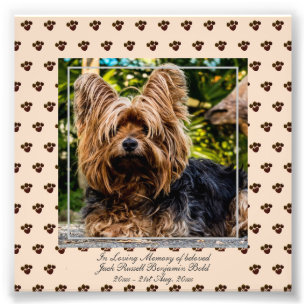 Loving Memory Jack Russell  PHOTO Named Keepsake