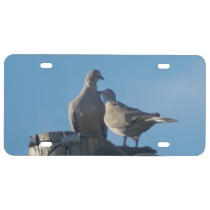 Loving Mourning Doves License Plate