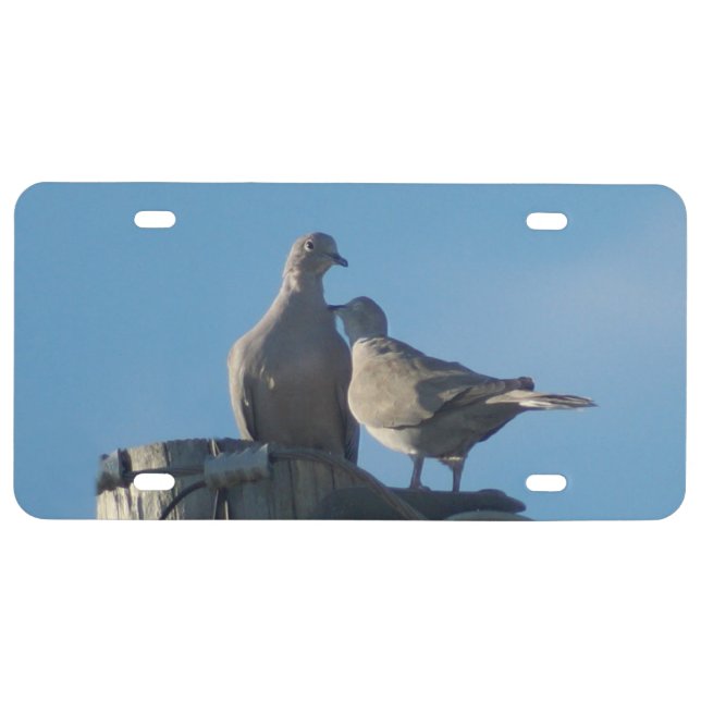 Loving Mourning Doves License Plate (Front)
