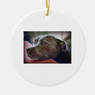 Loving Pitbull Eyes Ceramic Ornament
